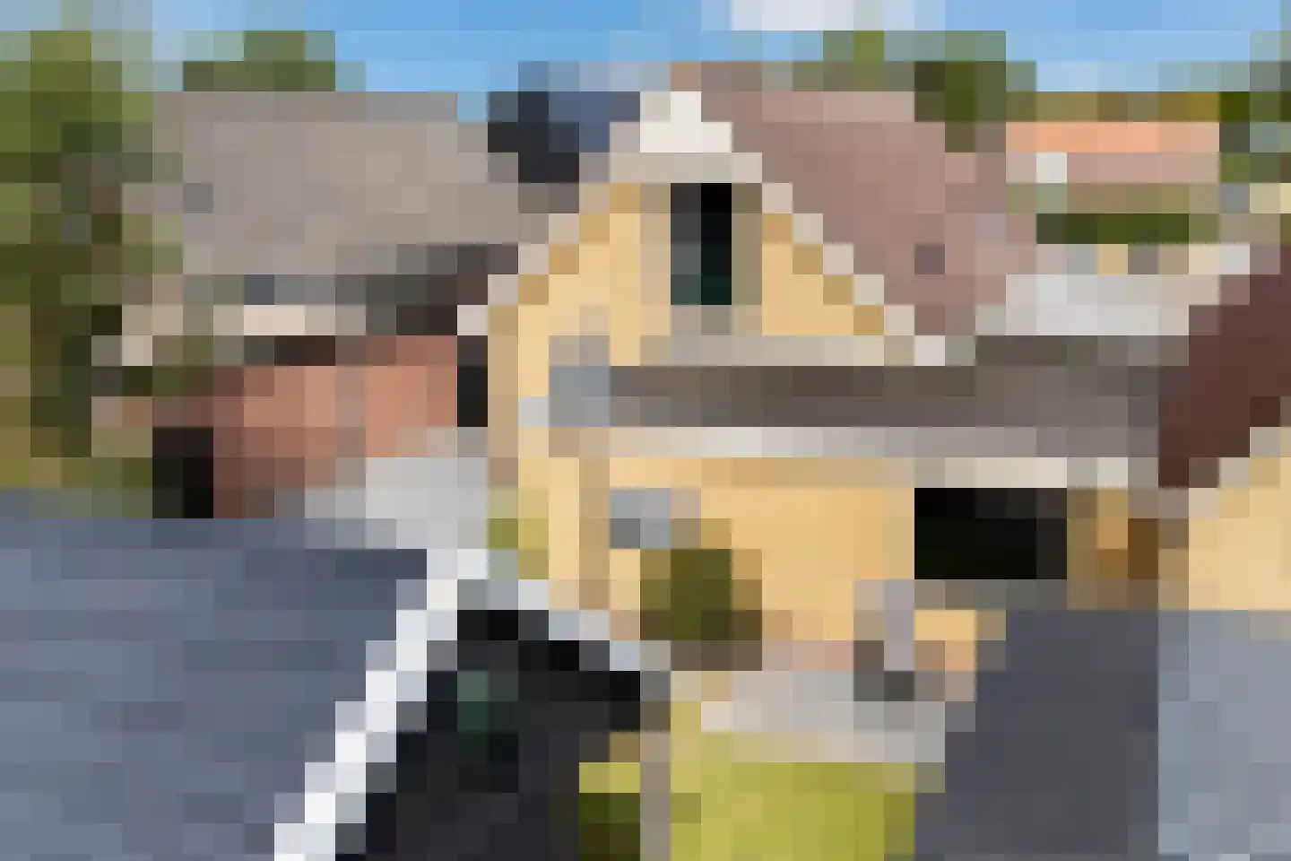 Tolwei 46 De Westereen thumbnail 42