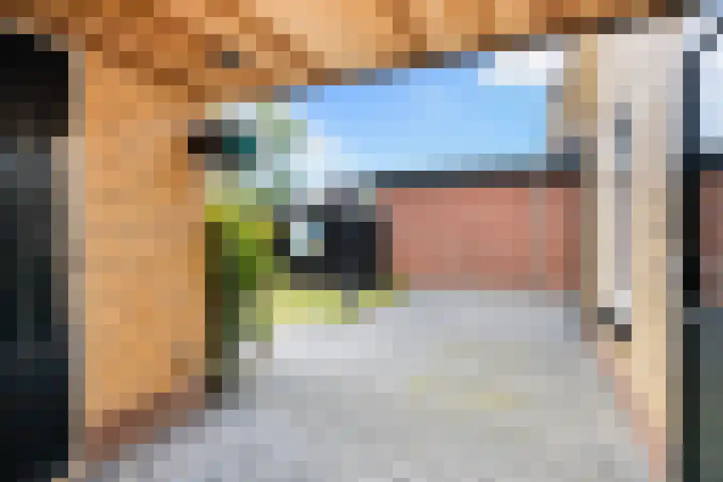 Tolwei 46 De Westereen thumbnail 43