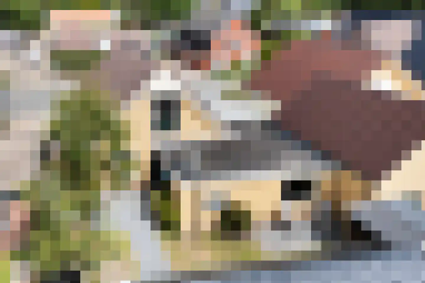 Tolwei 46 De Westereen thumbnail 44