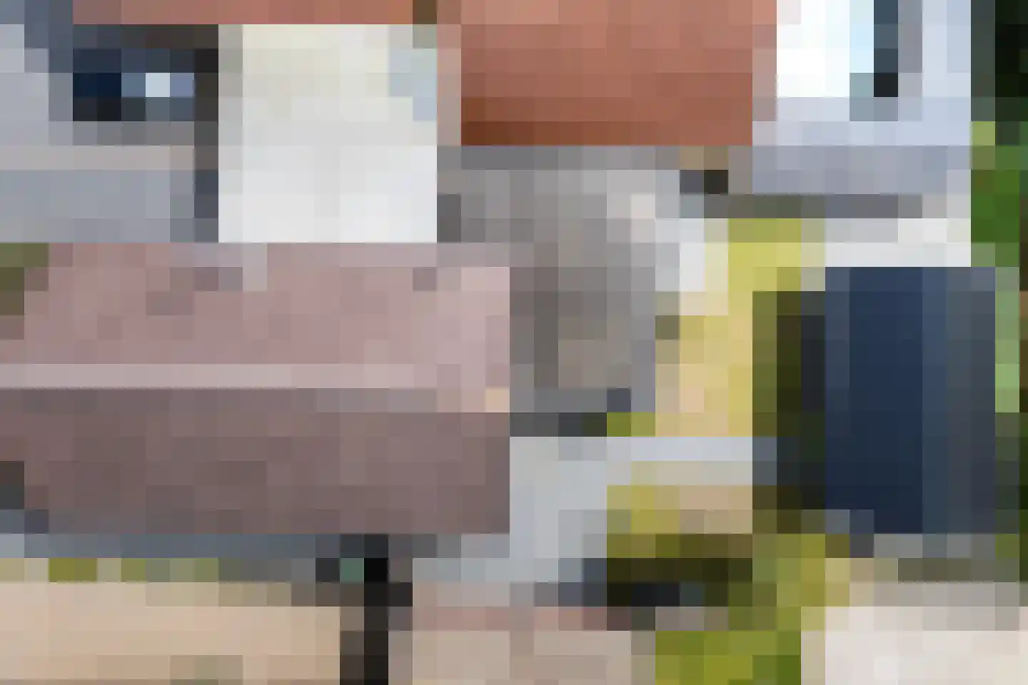 Tolwei 46 De Westereen thumbnail 45