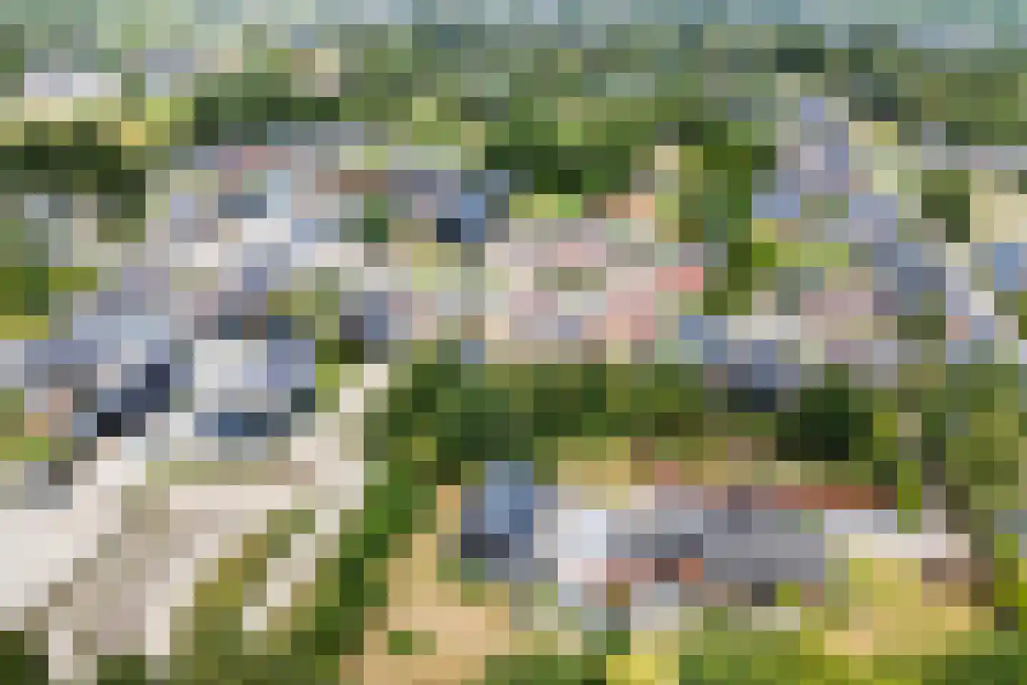 Tolwei 46 De Westereen thumbnail 46