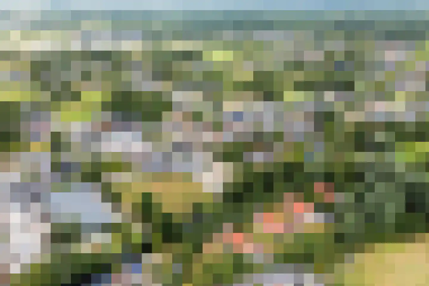 Tolwei 46 De Westereen thumbnail 49