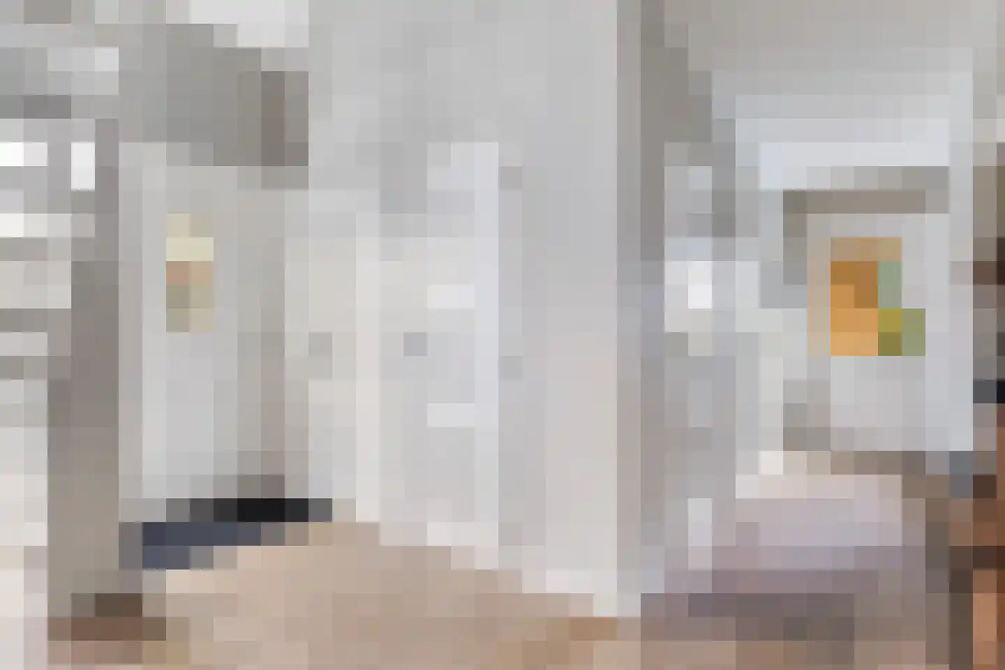 Tolwei 46 De Westereen thumbnail 5