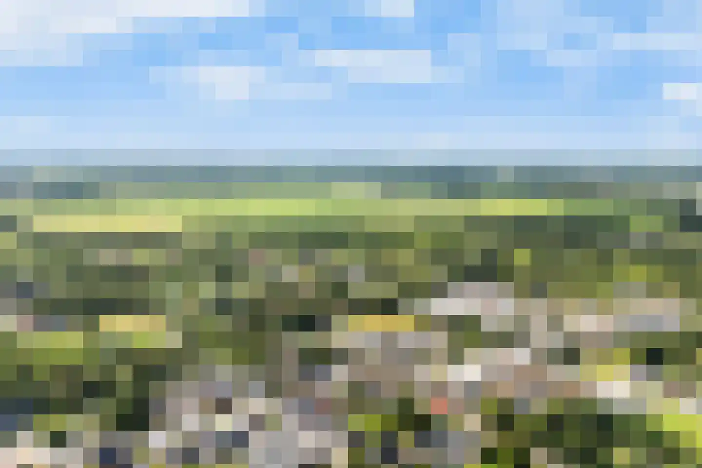 Tolwei 46 De Westereen thumbnail 50