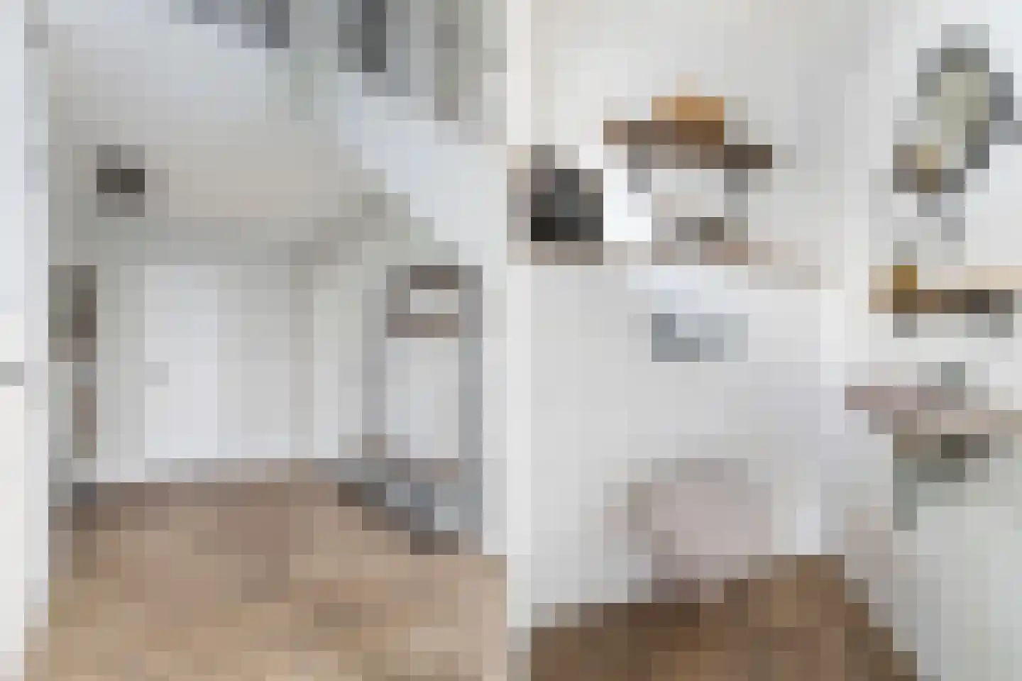 Tolwei 46 De Westereen thumbnail 7