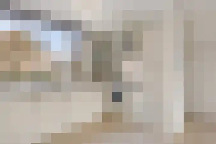 Tom Brandstraat 15 Hengelo thumbnail 15