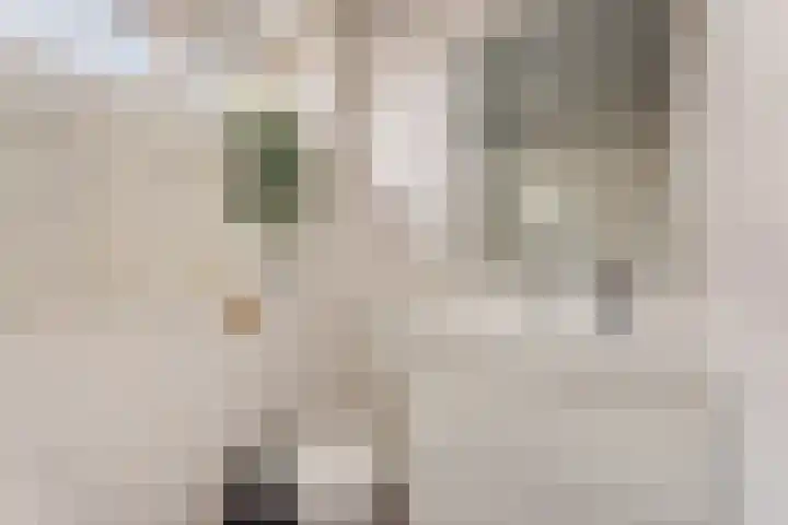 Tom Brandstraat 15 Hengelo thumbnail 18