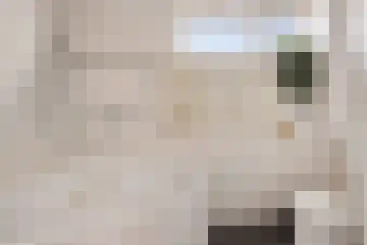 Tom Brandstraat 15 Hengelo thumbnail 19