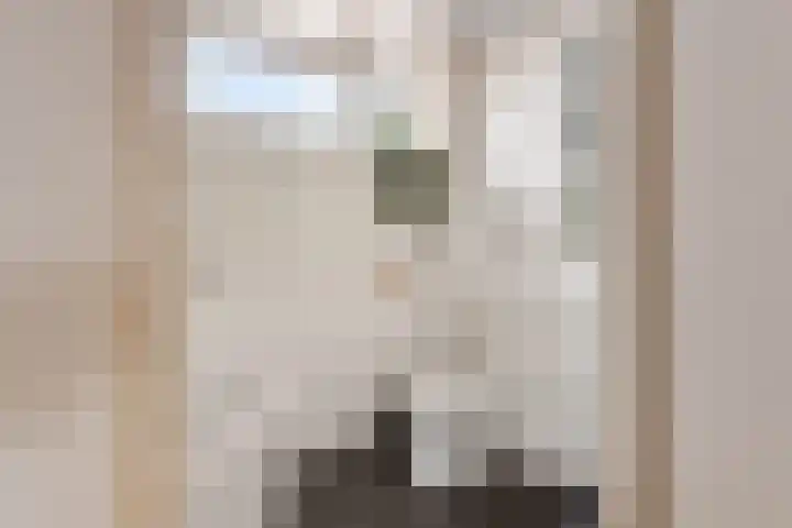 Tom Brandstraat 15 Hengelo thumbnail 20