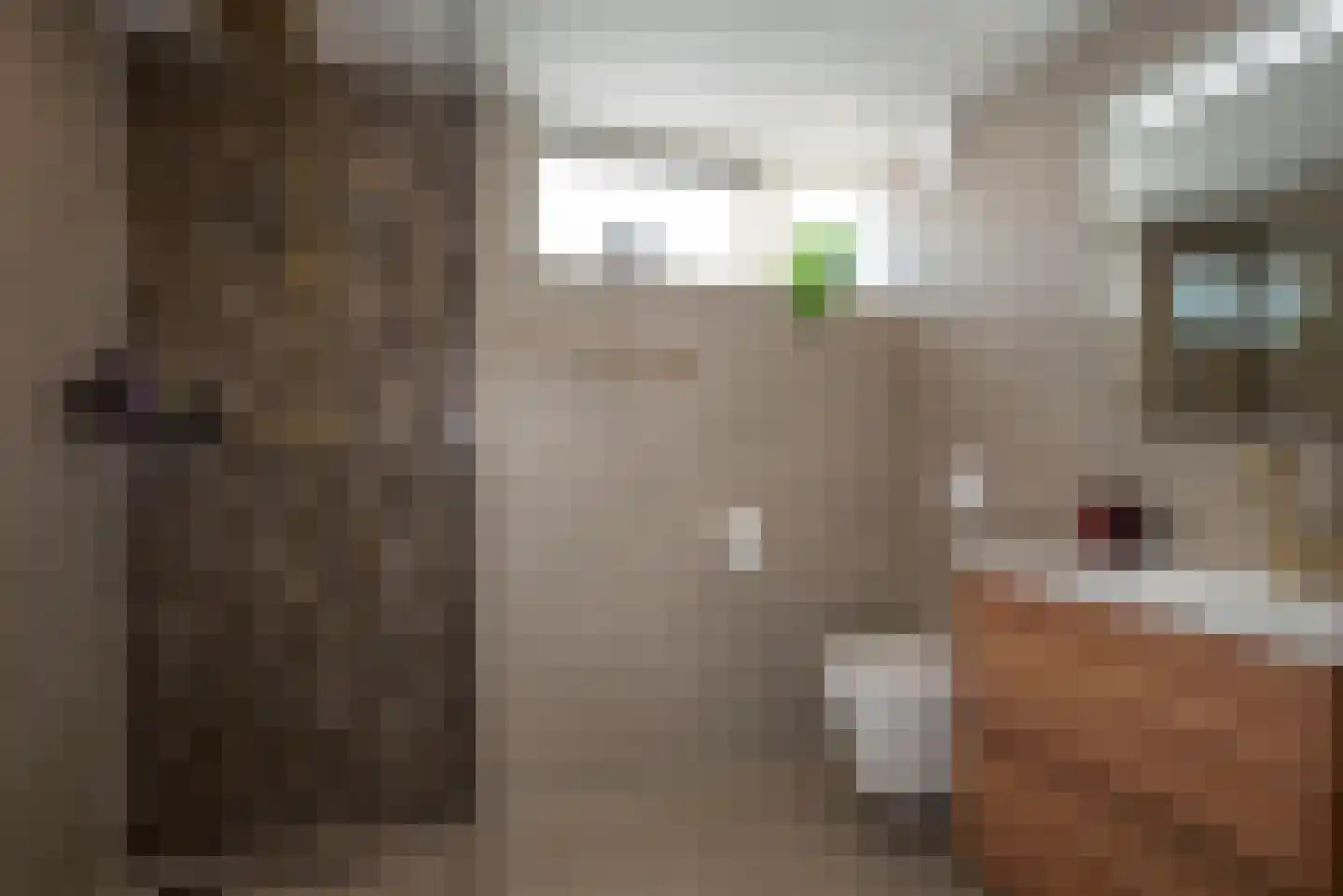 Tom Brandstraat 15 Hengelo thumbnail 4