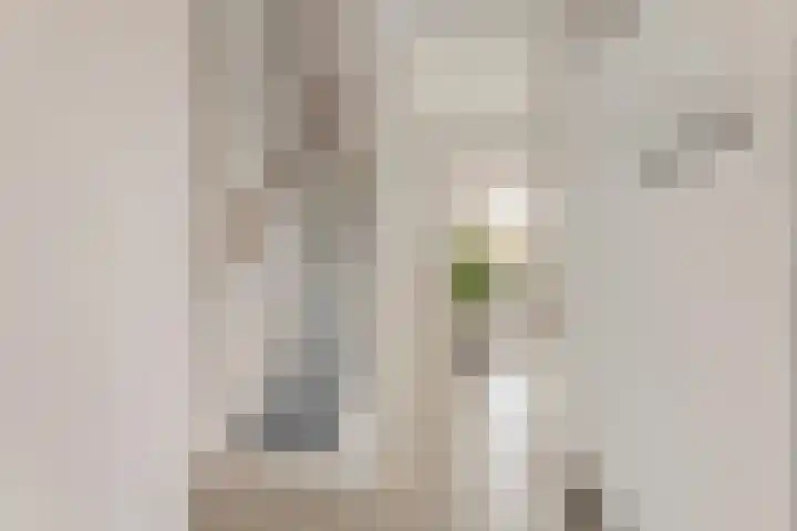 Tom Brandstraat 15 Hengelo thumbnail 8