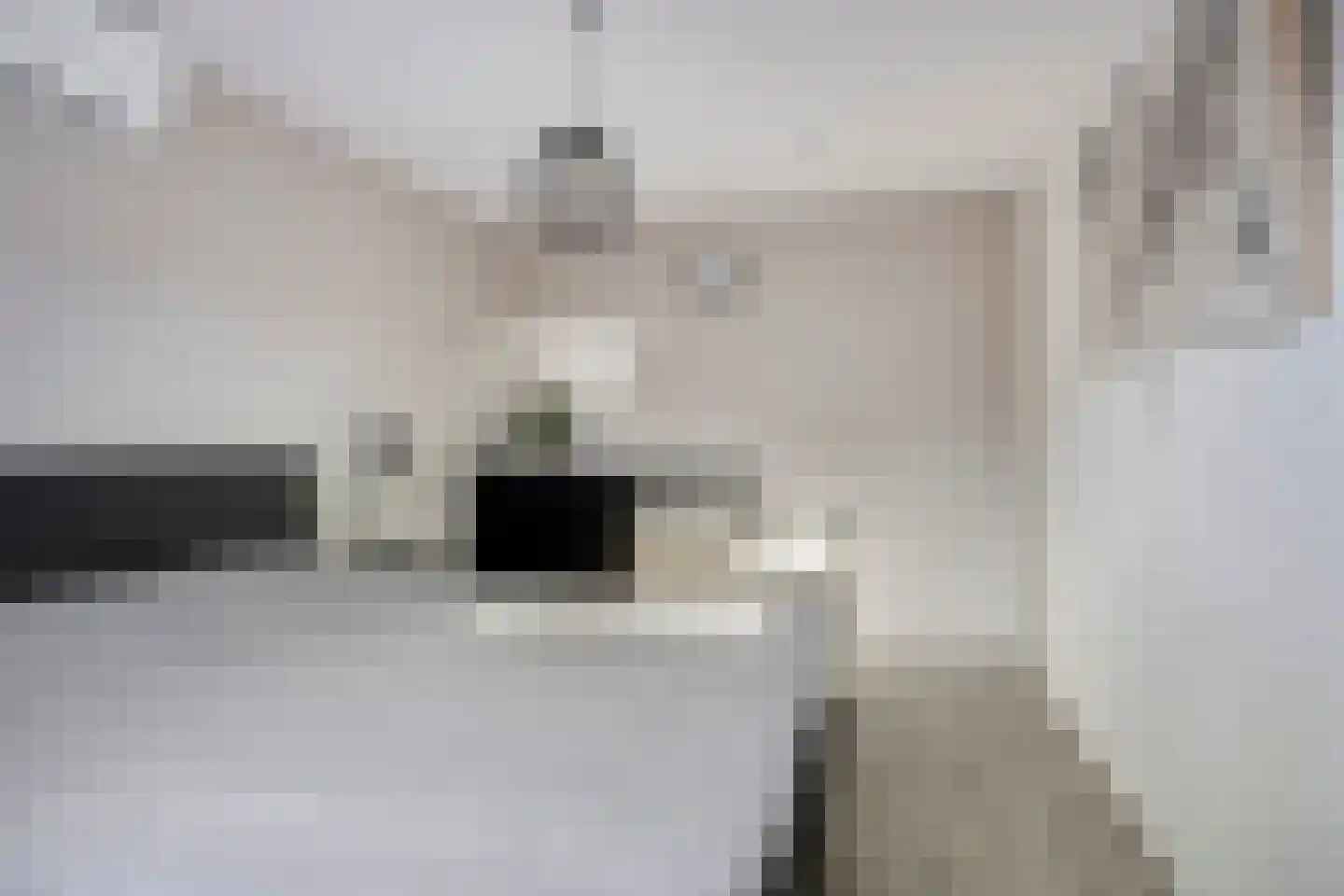 Tom Brandstraat 18 Hengelo thumbnail 20