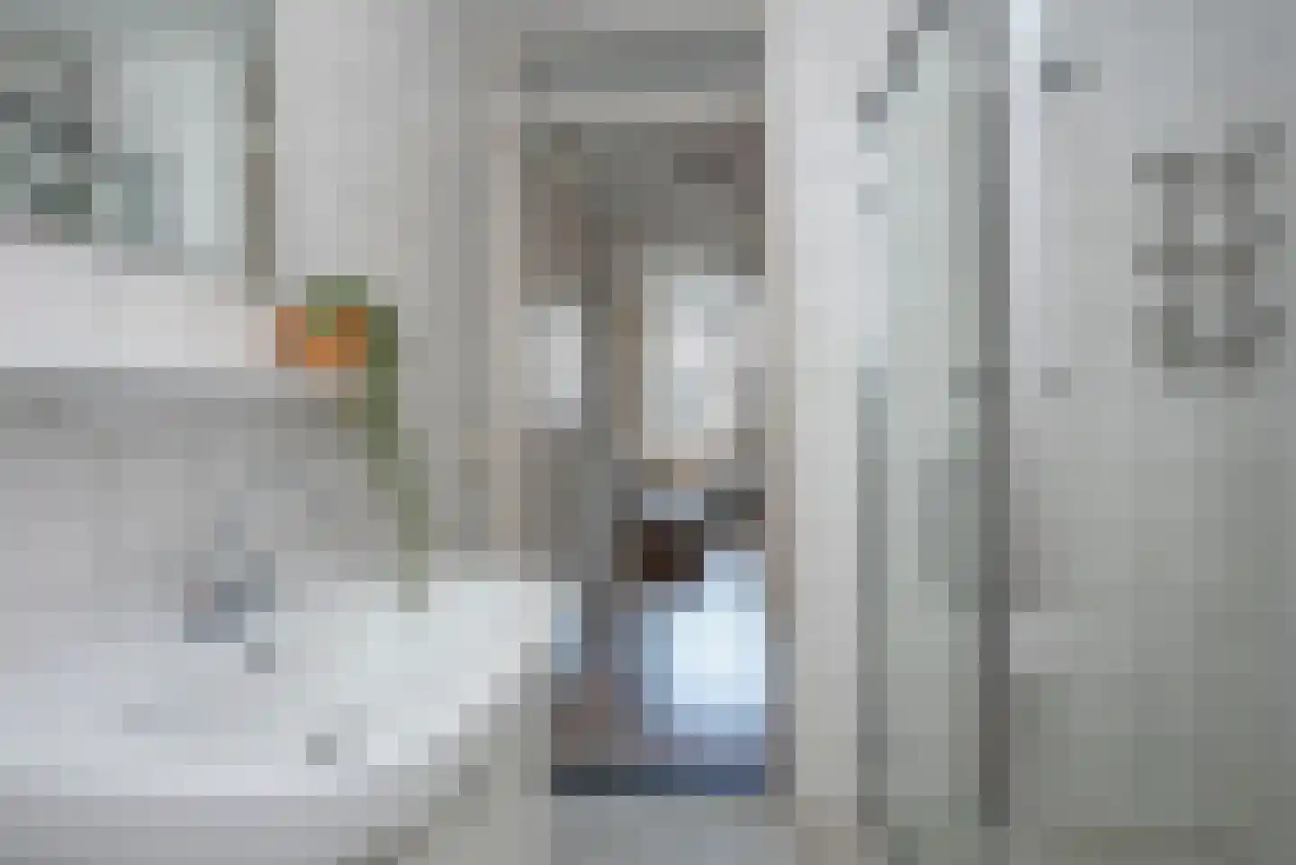 Tom Mandersstraat 6 Hengelo thumbnail 21