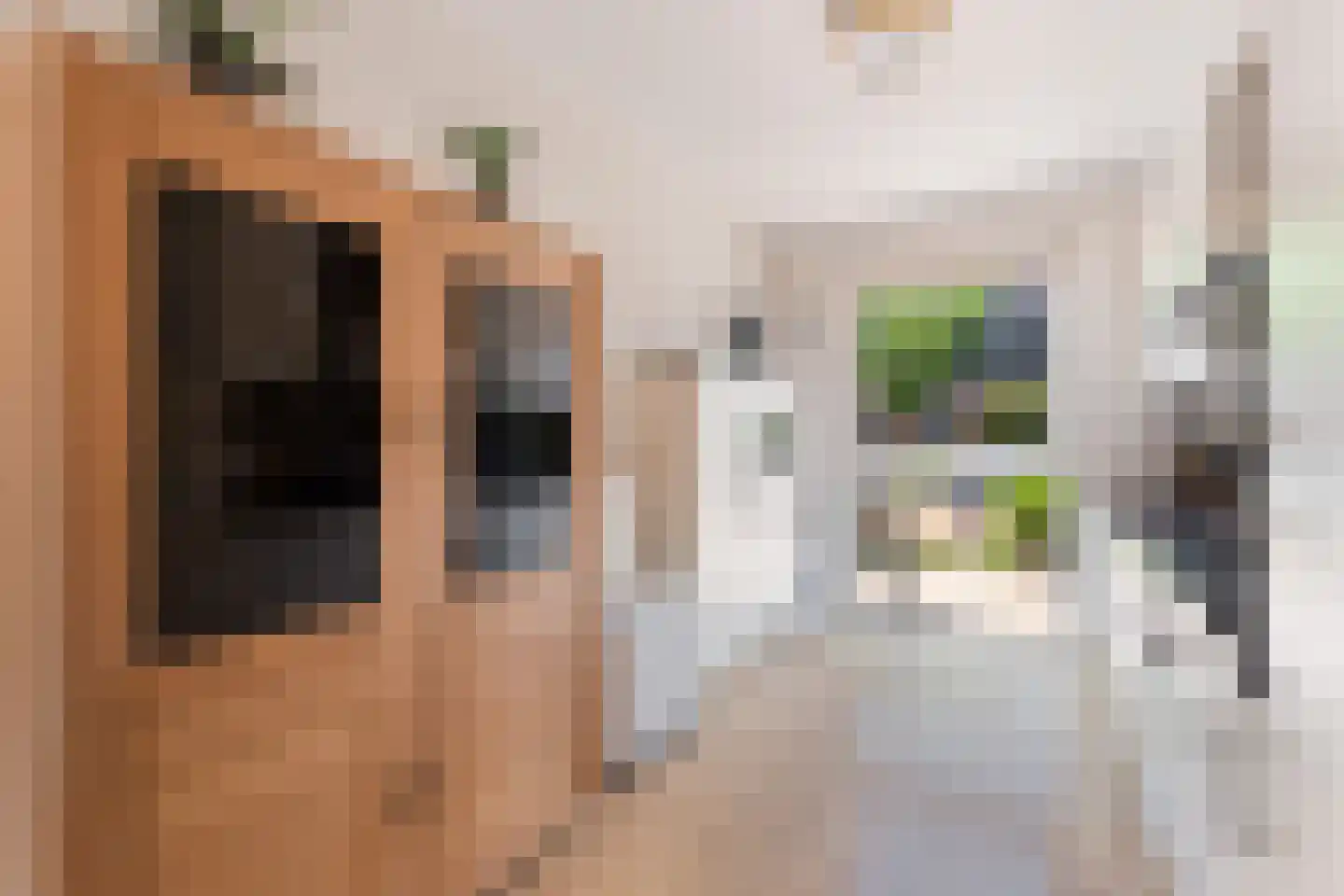 Tom Navislaan 7 Den Haag thumbnail 11