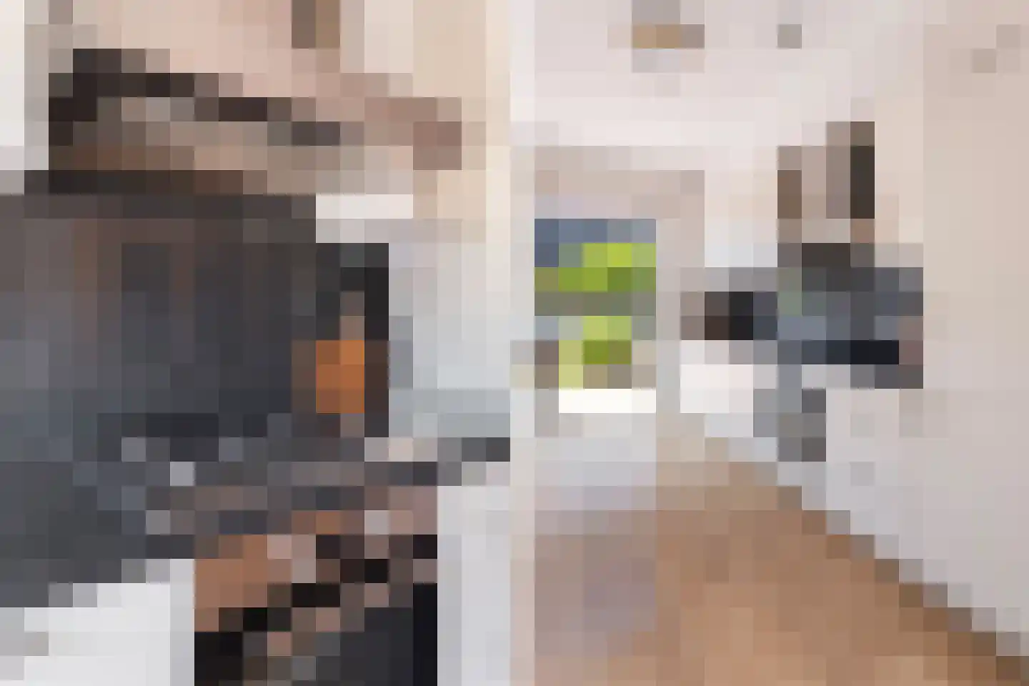 Tom Navislaan 7 Den Haag thumbnail 15