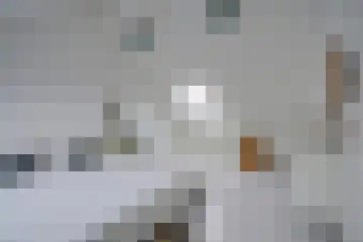 Tomaatstraat 11 Utrecht thumbnail 31
