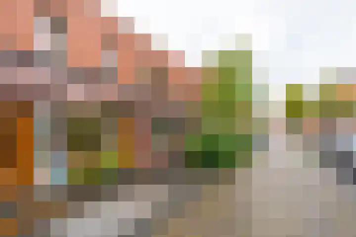 Tomaatstraat 11 Utrecht thumbnail 35
