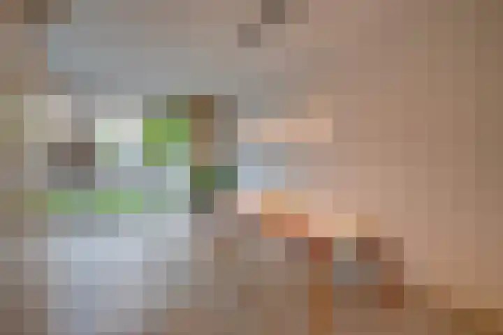 Tomaatstraat 11 Utrecht thumbnail 4