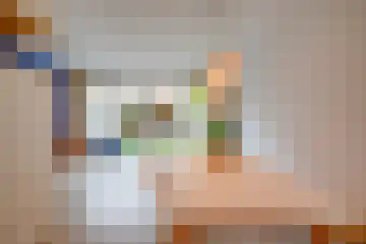 Tomaatstraat 11 Utrecht thumbnail 5