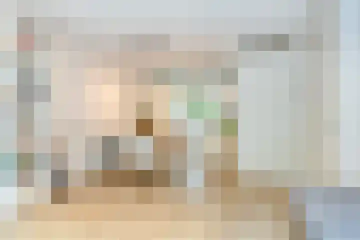 Tomaatstraat 23 Utrecht thumbnail 15