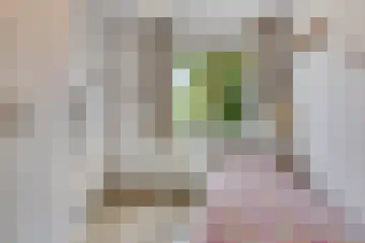 Tomaatstraat 23 Utrecht thumbnail 19