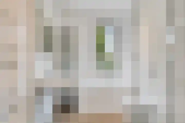 Tomaatstraat 23 Utrecht thumbnail 24