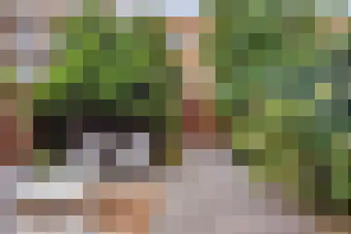 Tomaatstraat 23 Utrecht thumbnail 5