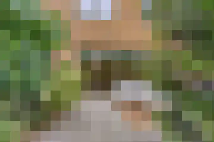 Tomaatstraat 23 Utrecht thumbnail 6