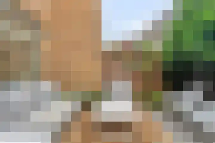 Tomaatstraat 23 Utrecht thumbnail 7