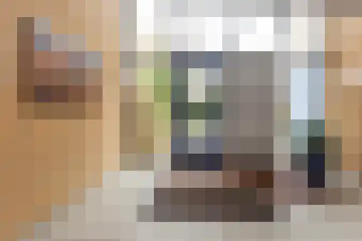 Tomas Masarykstraat 25 Utrecht thumbnail 9