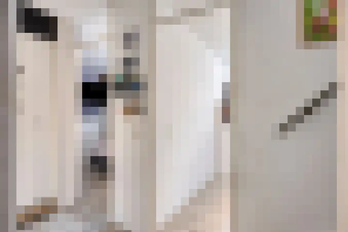 Tomatenakker 10 Zoetermeer thumbnail 11