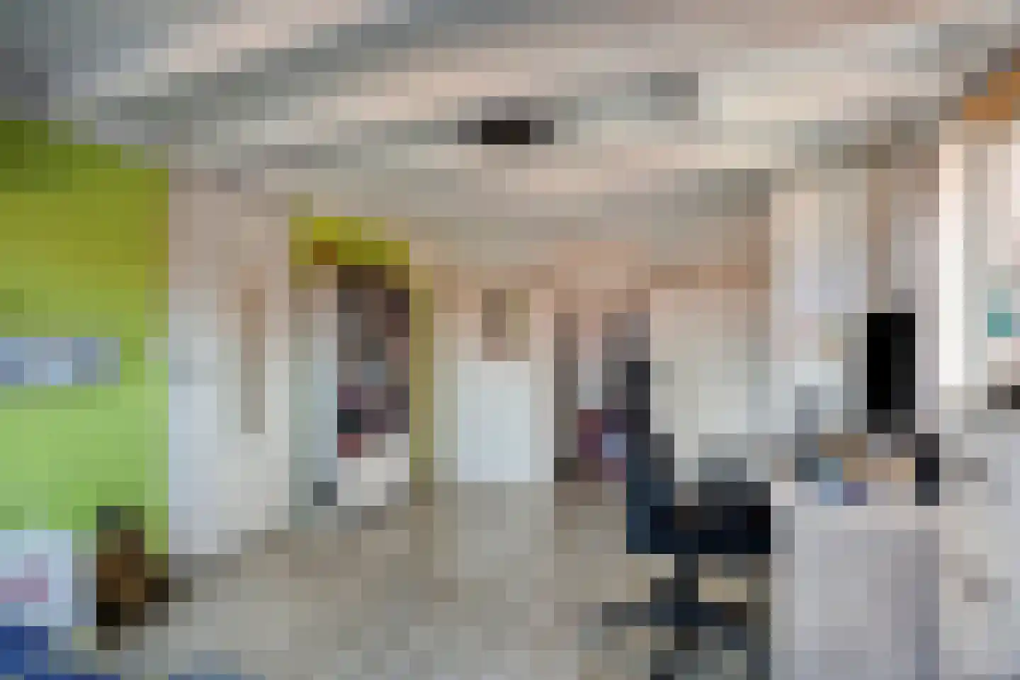 Tomatenakker 10 Zoetermeer thumbnail 34