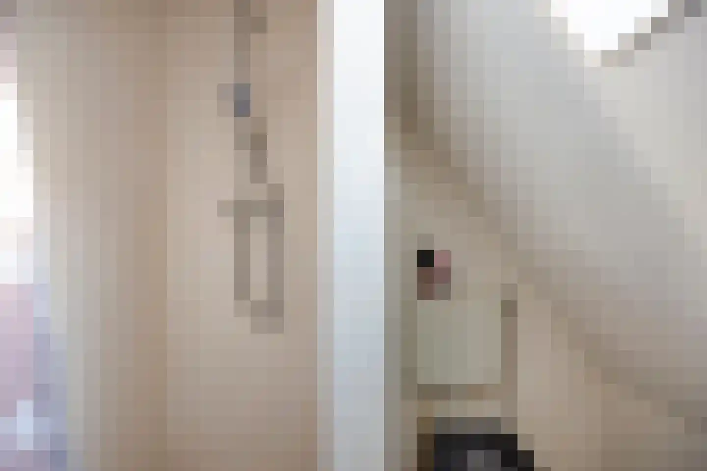 Tomatenakker 10 Zoetermeer thumbnail 36