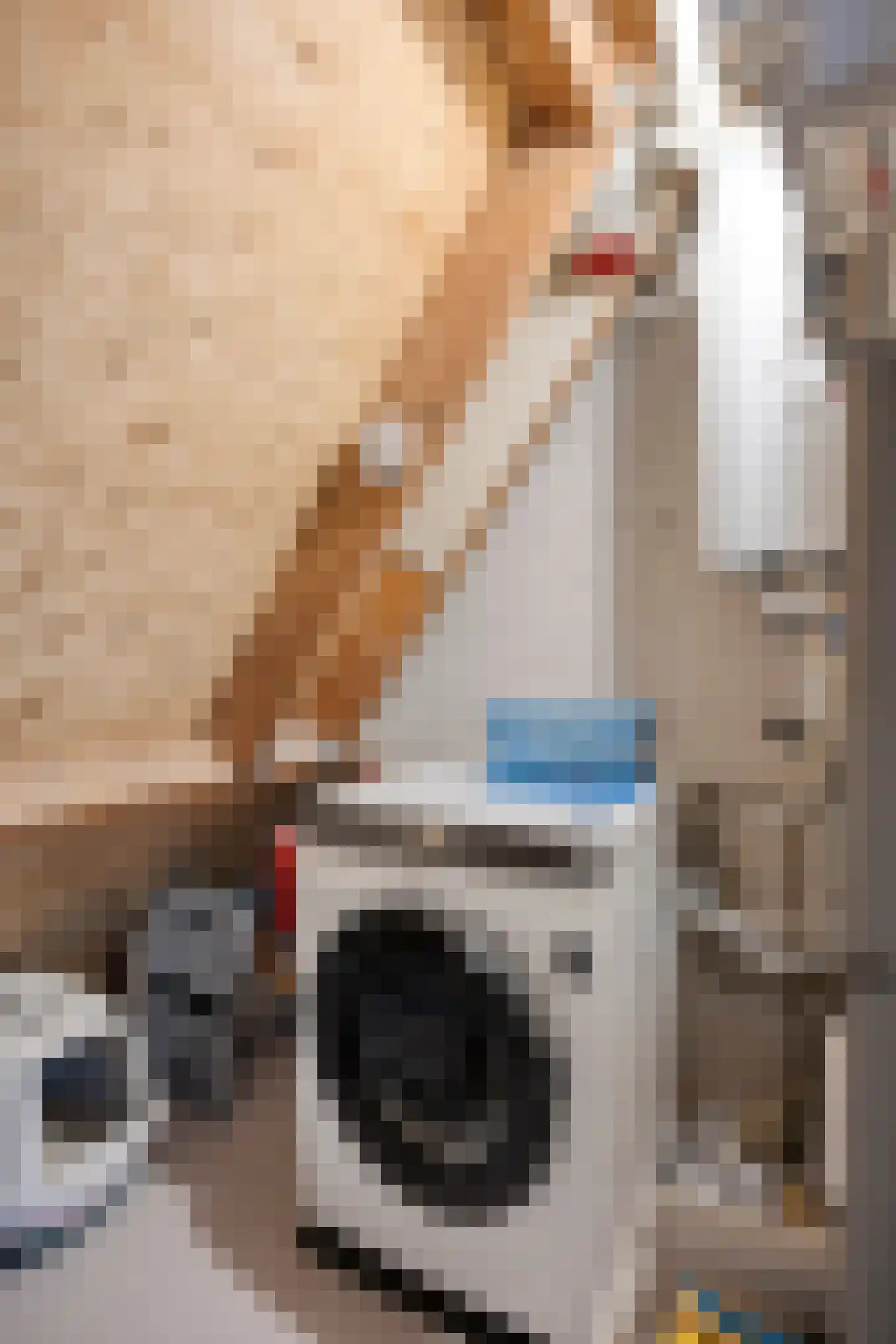 Tomatenakker 10 Zoetermeer thumbnail 39