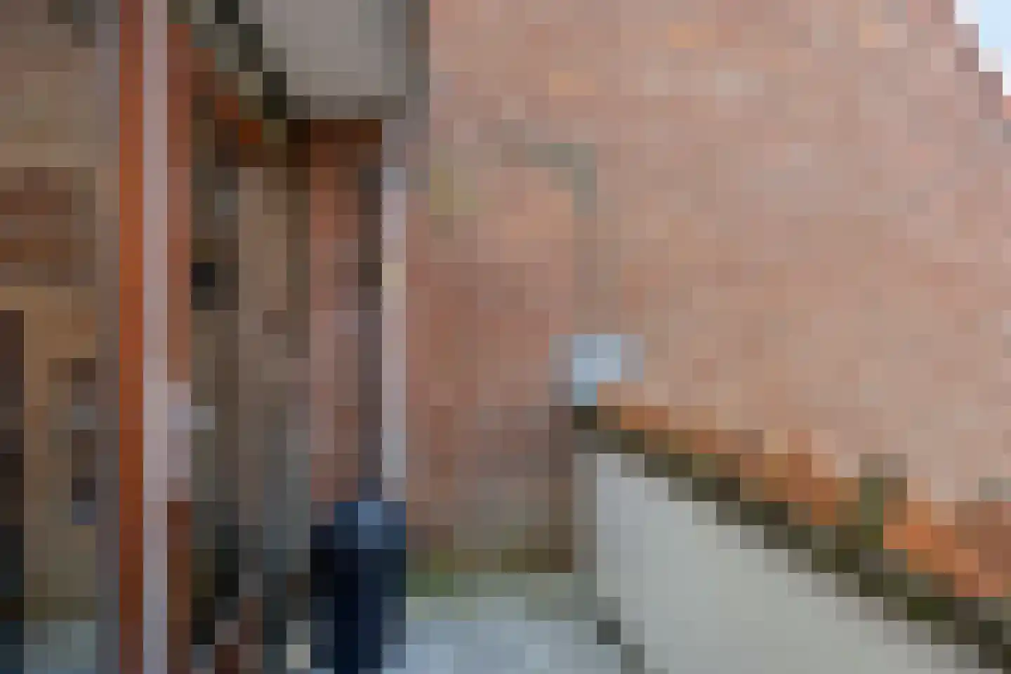 Tomatenakker 10 Zoetermeer thumbnail 45