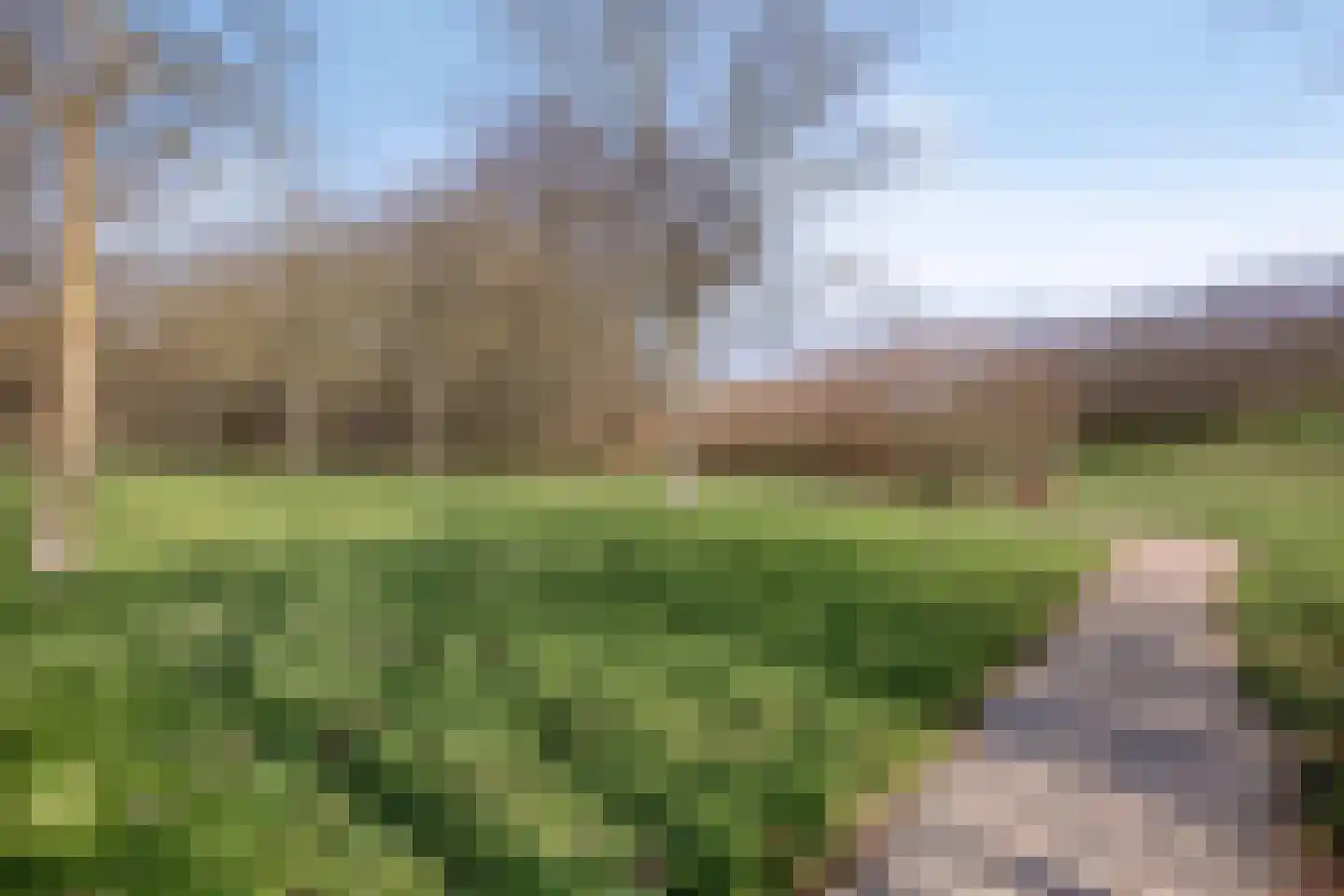 Tomatenakker 10 Zoetermeer thumbnail 48