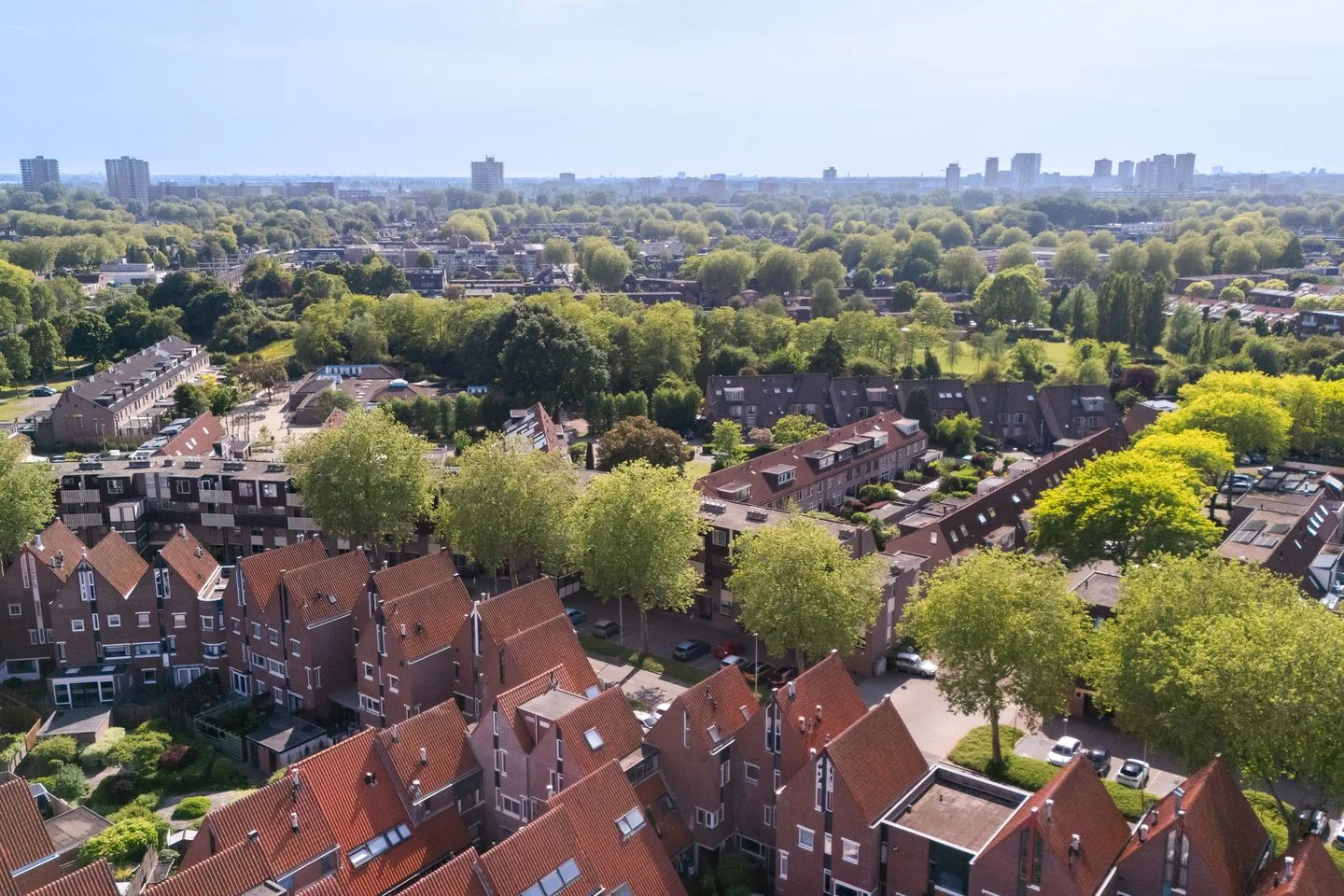 Tomatenakker 4 Zoetermeer thumbnail 36