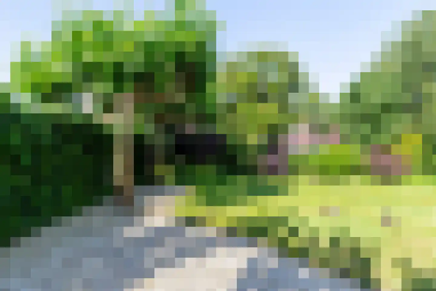 Tomatenlaan 14 A Den Haag thumbnail 10