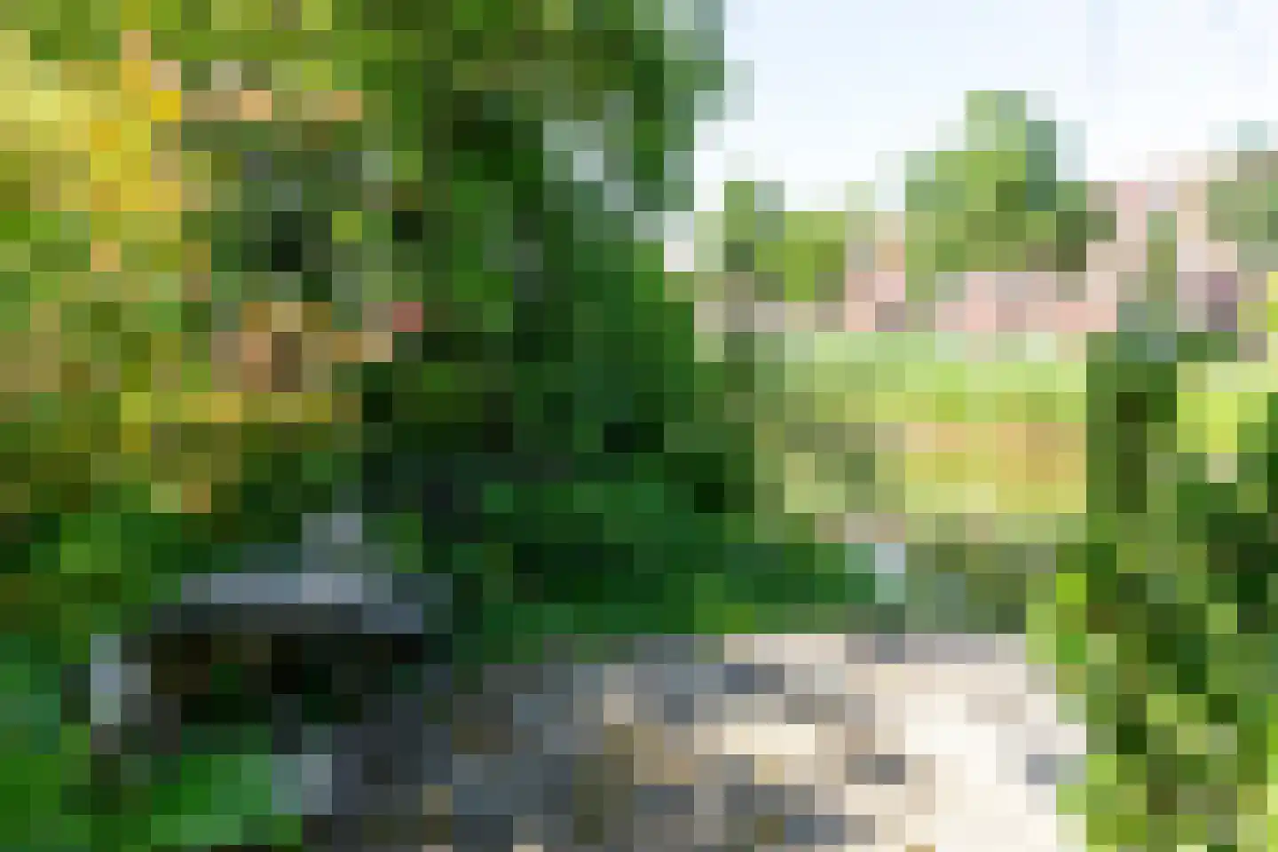 Tomatenlaan 14 A Den Haag thumbnail 11