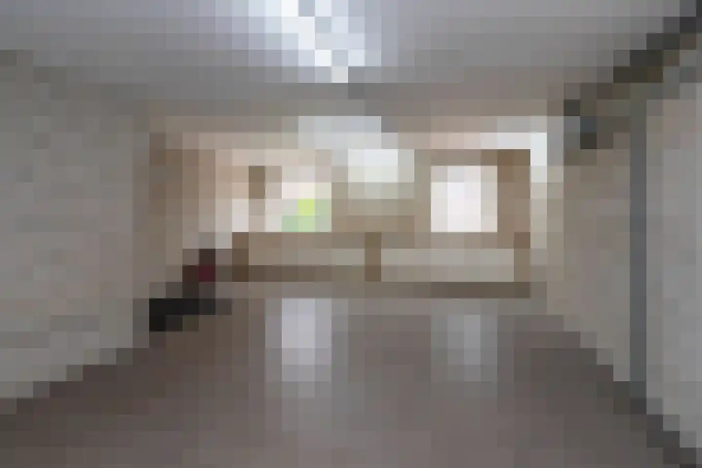 Tomatenlaan 14 A Den Haag thumbnail 19