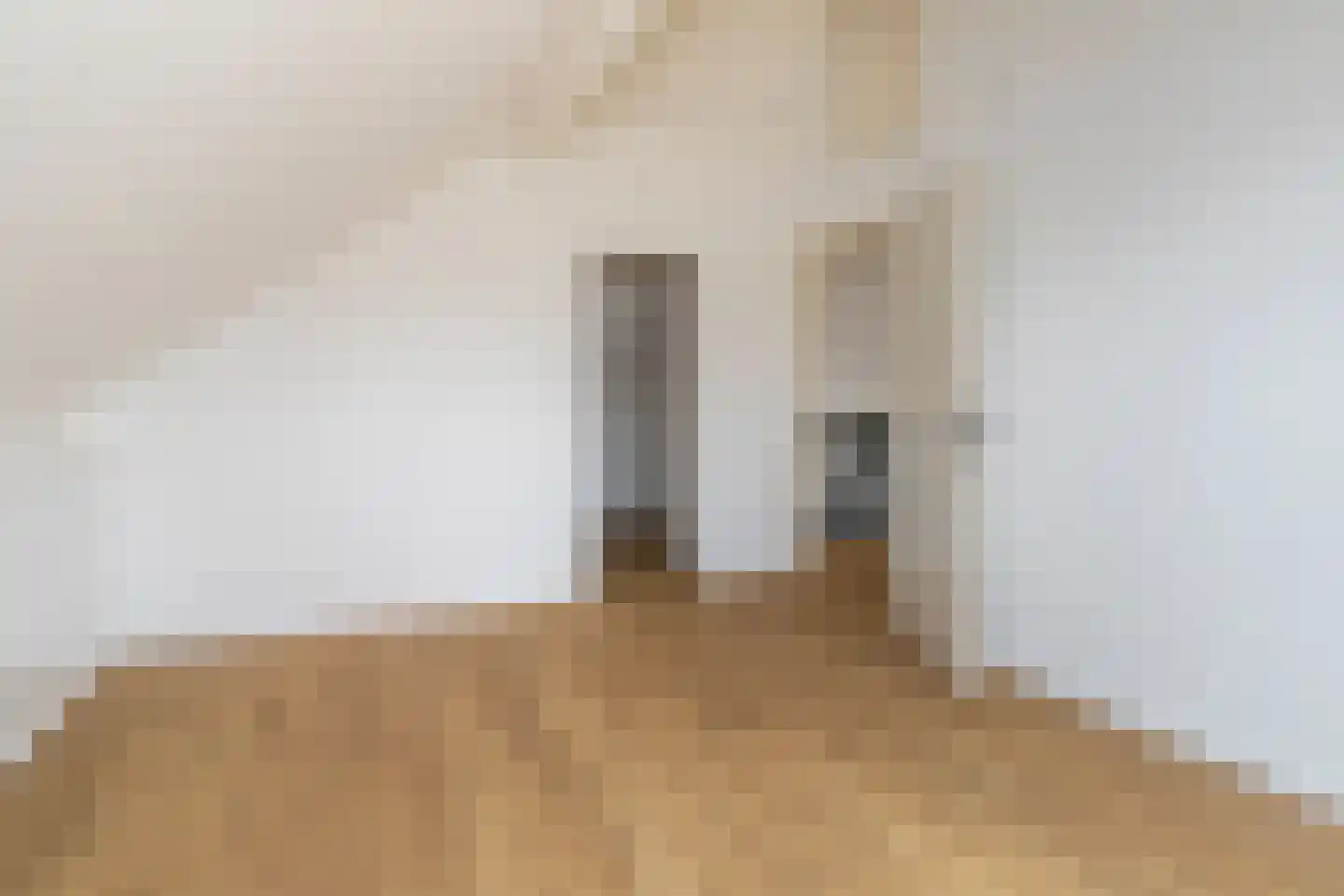 Tomatenlaan 14 A Den Haag thumbnail 27