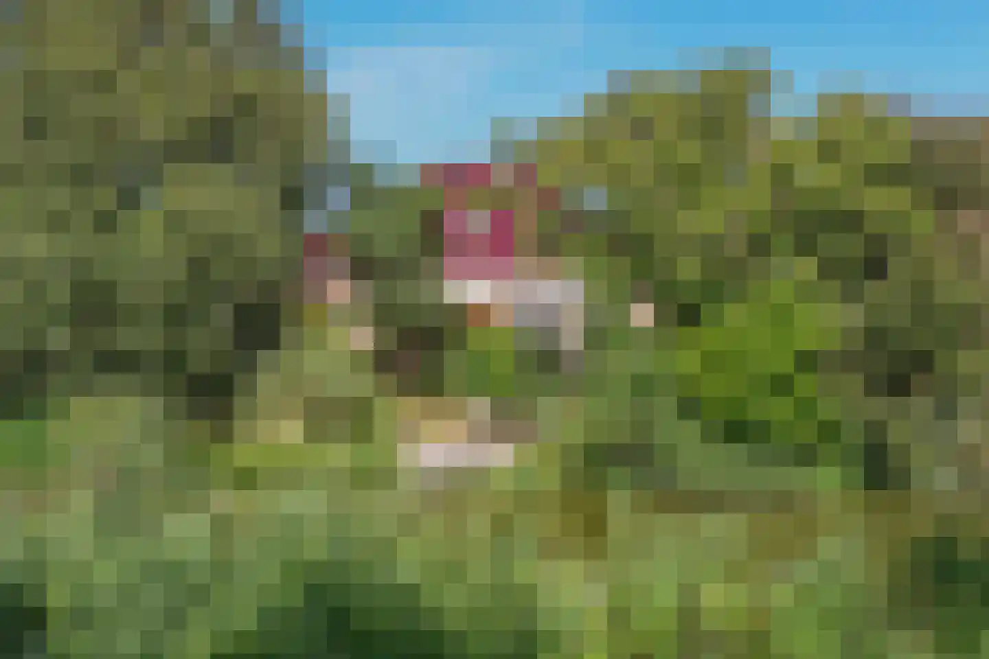 Tomatenlaan 14 A Den Haag thumbnail 38