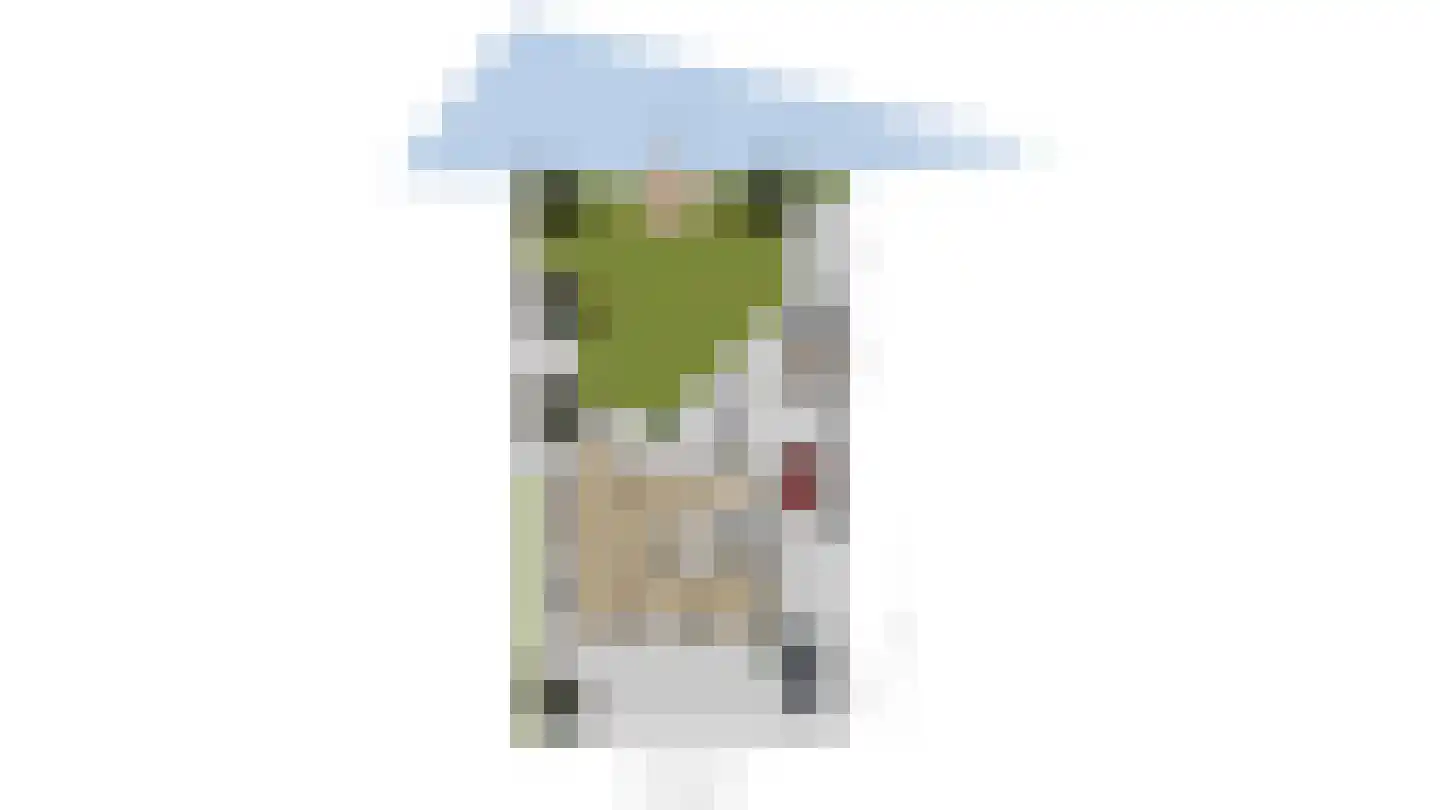 Tomatenlaan 14 A Den Haag thumbnail 43