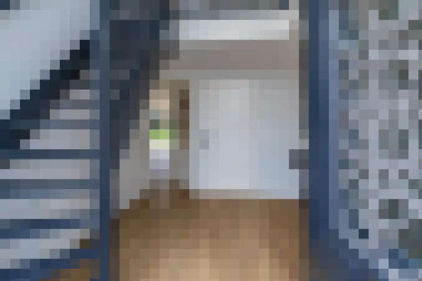 Tomatenlaan 14 A Den Haag thumbnail 6