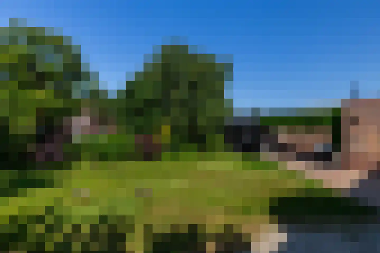 Tomatenlaan 14 A Den Haag thumbnail 9