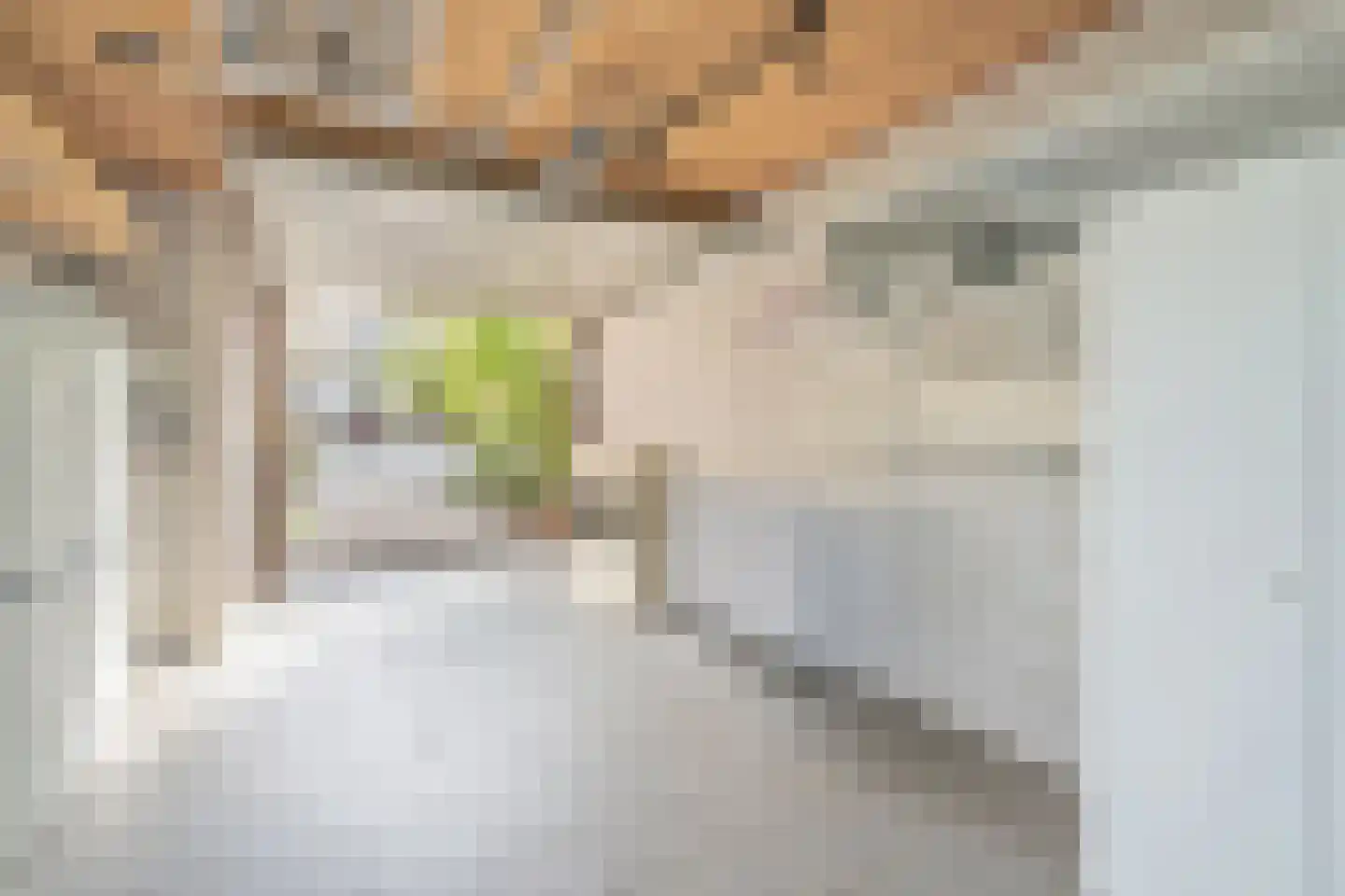 Tomatenlaan 158 Den Haag thumbnail 17