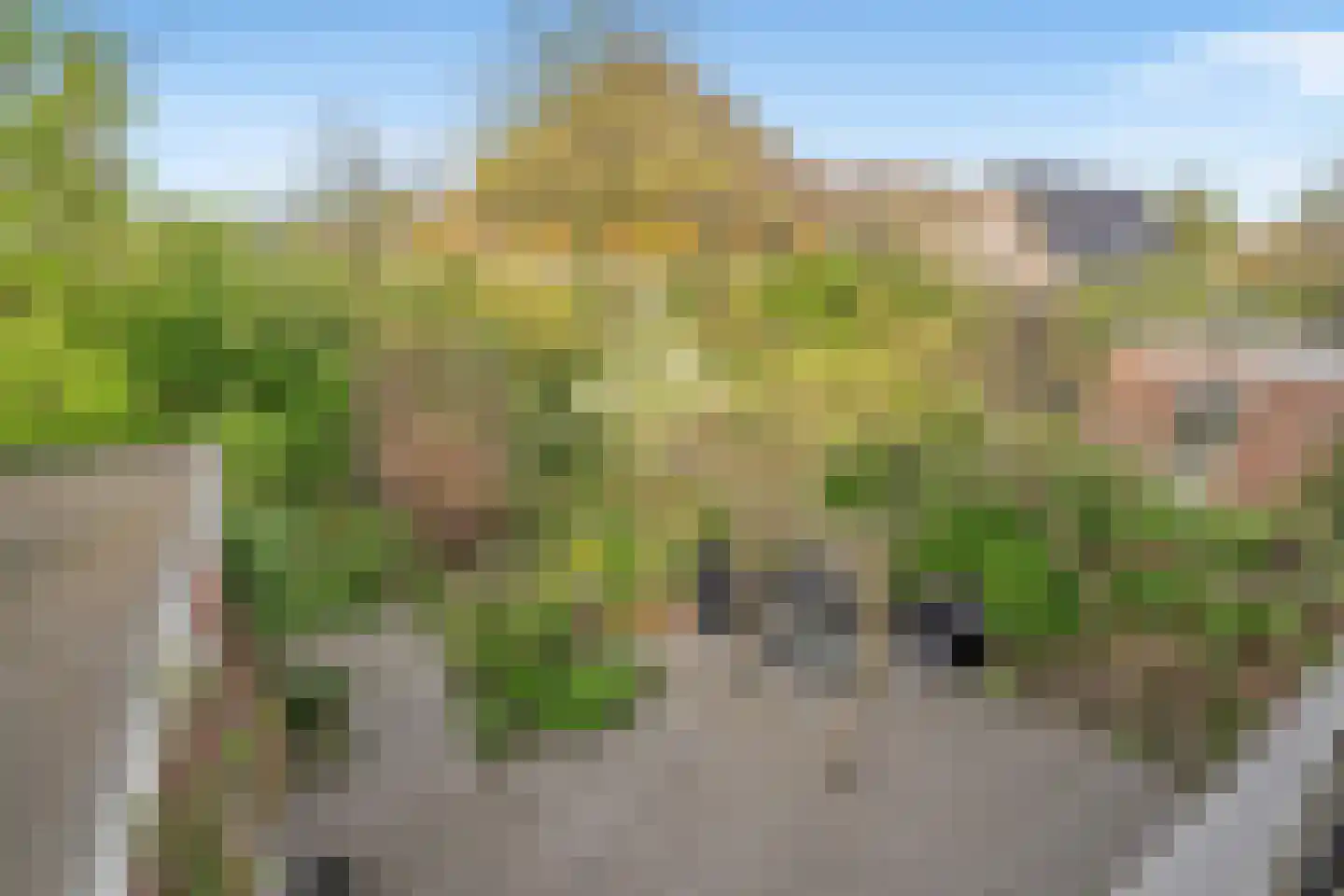 Tomatenlaan 158 Den Haag thumbnail 22