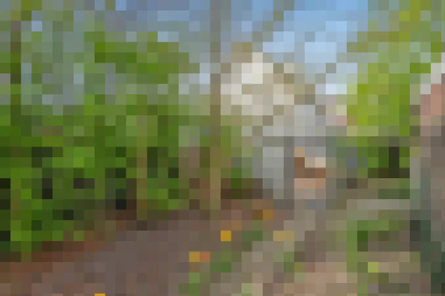 Tomatenlaan 158 Den Haag thumbnail 23