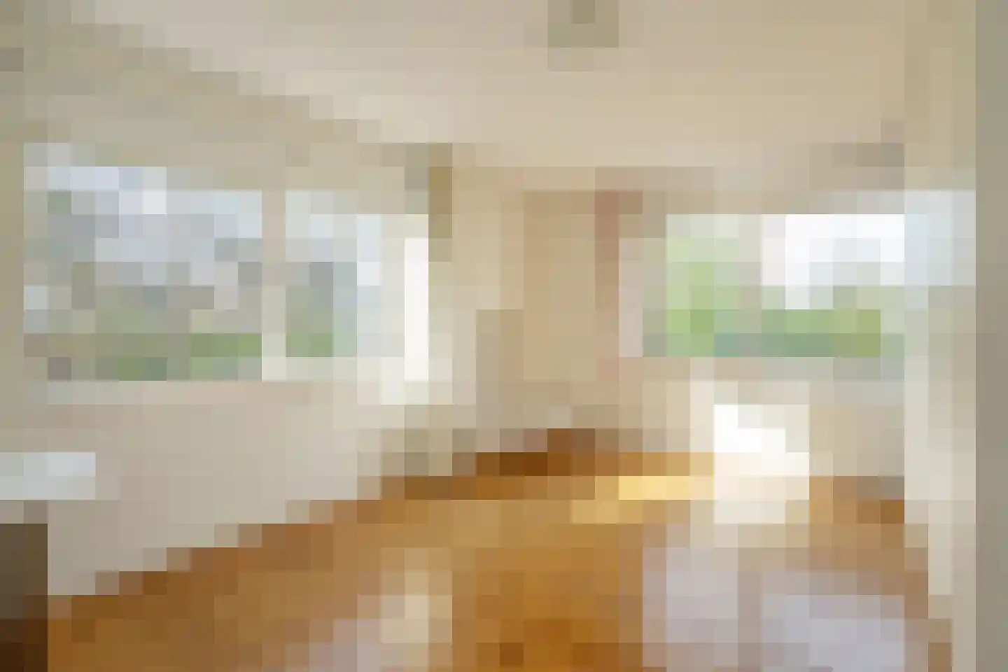 Tomatenlaan 158 Den Haag thumbnail 34
