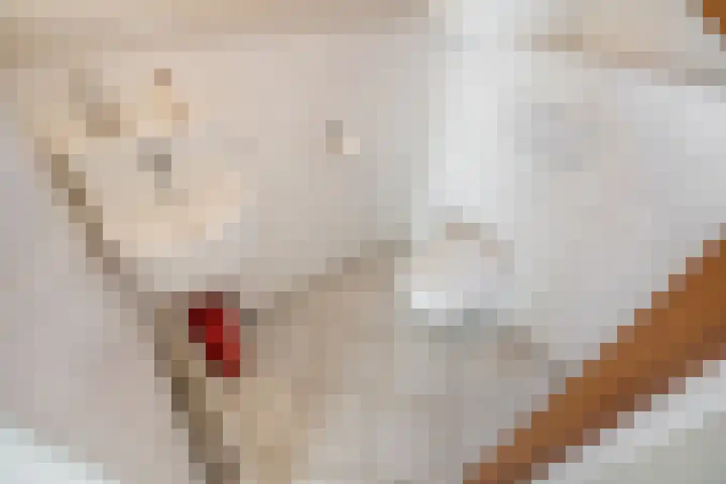 Tomatenlaan 158 Den Haag thumbnail 7